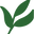 MORE THAN MATCHA logo